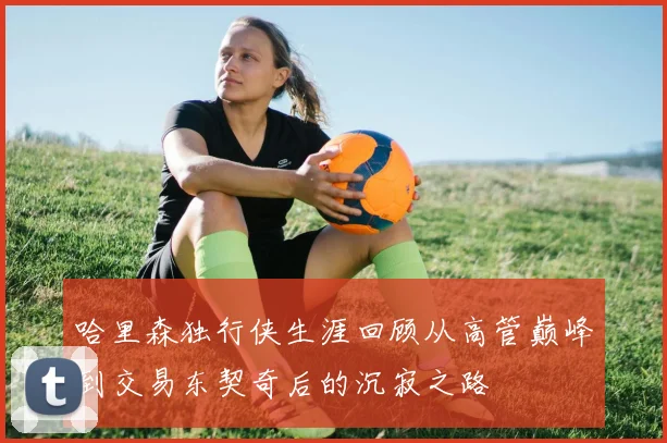 哈里森独行侠生涯回顾从高管巅峰到交易东契奇后的沉寂之路