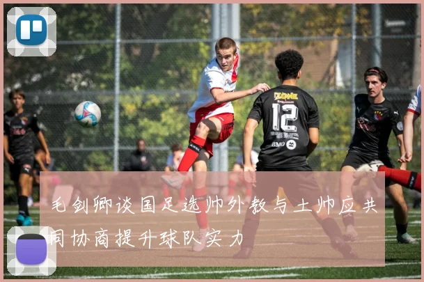毛剑卿谈国足选帅外教与土帅应共同协商提升球队实力