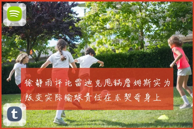 徐静雨评论雷迪克甩锅詹姆斯实为叛变实际输球责任在东契奇身上